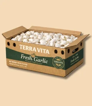 Fresh  Garlic